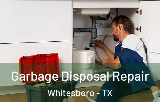  Garbage Disposal Repair Whitesboro - TX