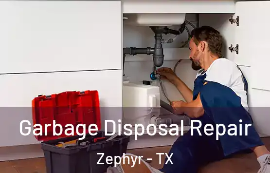  Garbage Disposal Repair Zephyr - TX