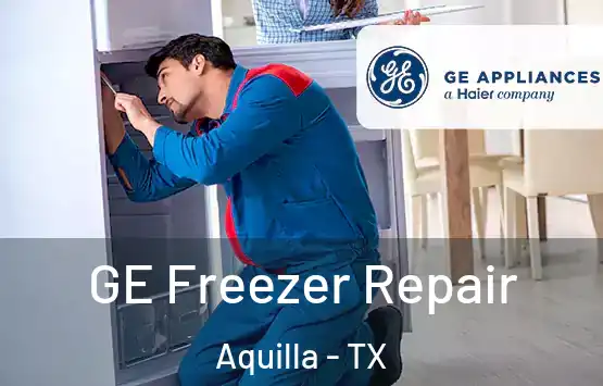  GE Freezer Repair Aquilla - TX