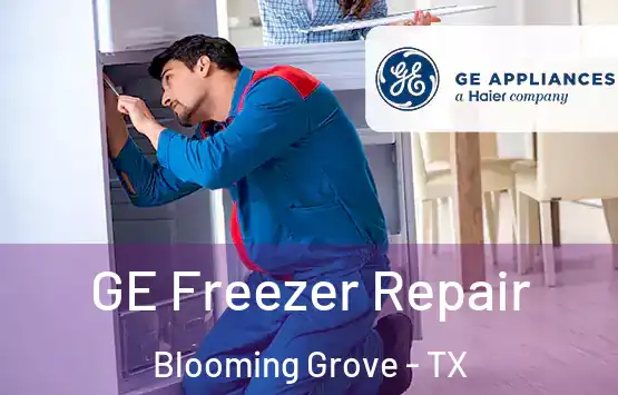  GE Freezer Repair Blooming Grove - TX