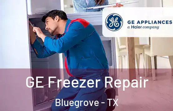  GE Freezer Repair Bluegrove - TX