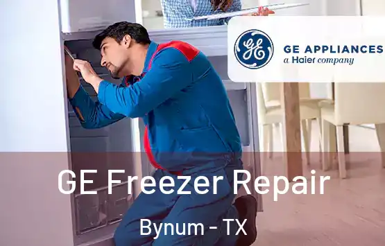  GE Freezer Repair Bynum - TX