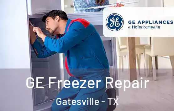  GE Freezer Repair Gatesville - TX