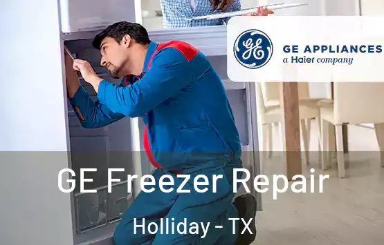  GE Freezer Repair Holliday - TX