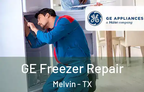  GE Freezer Repair Melvin - TX