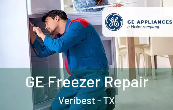  GE Freezer Repair Veribest - TX