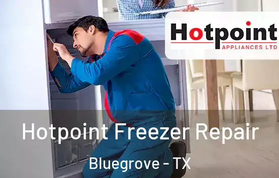  Hotpoint Freezer Repair Bluegrove - TX