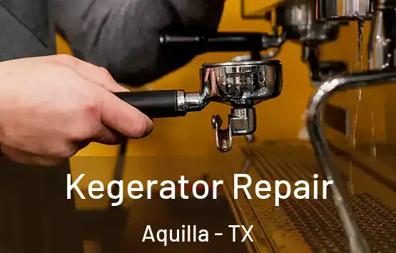  Kegerator Repair Aquilla - TX