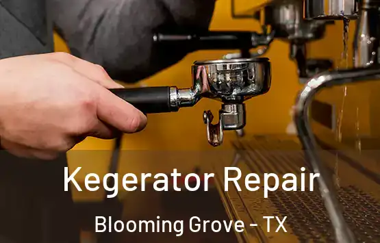  Kegerator Repair Blooming Grove - TX
