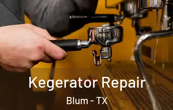  Kegerator Repair Blum - TX