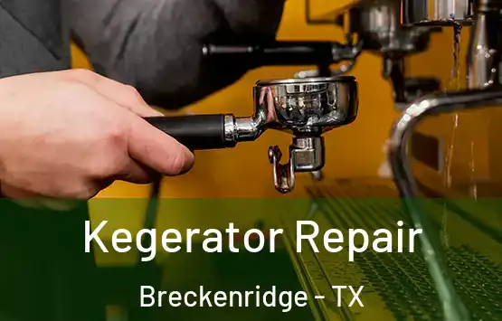  Kegerator Repair Breckenridge - TX