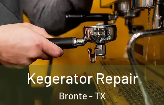  Kegerator Repair Bronte - TX