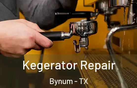  Kegerator Repair Bynum - TX