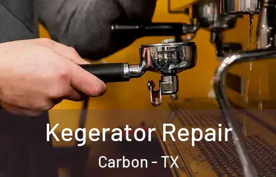  Kegerator Repair Carbon - TX