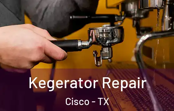  Kegerator Repair Cisco - TX