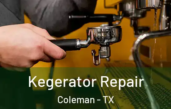  Kegerator Repair Coleman - TX
