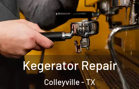  Kegerator Repair Colleyville - TX