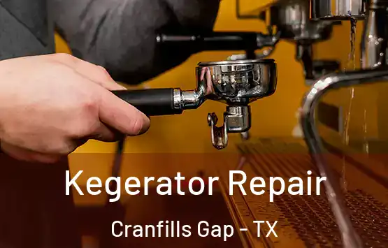  Kegerator Repair Cranfills Gap - TX