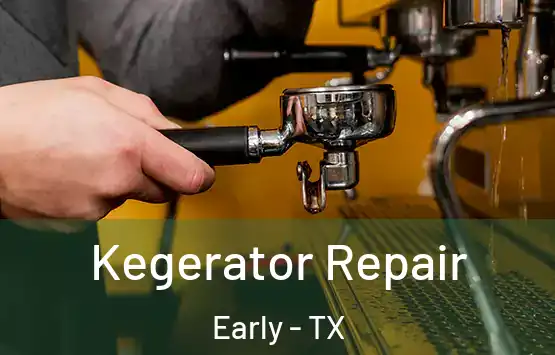  Kegerator Repair Early - TX
