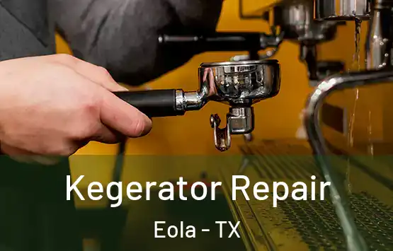  Kegerator Repair Eola - TX
