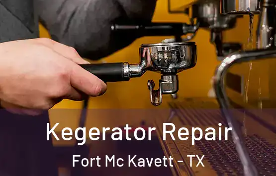  Kegerator Repair Fort Mc Kavett - TX