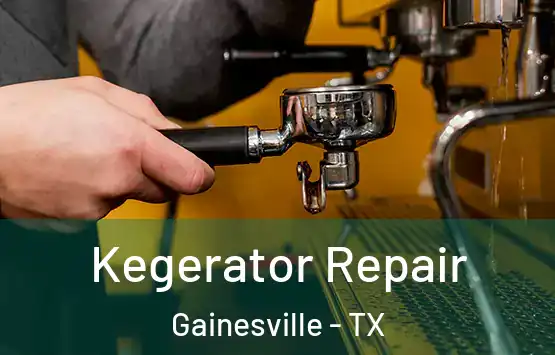  Kegerator Repair Gainesville - TX