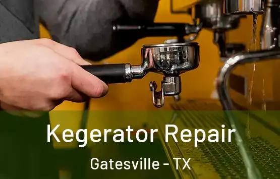  Kegerator Repair Gatesville - TX