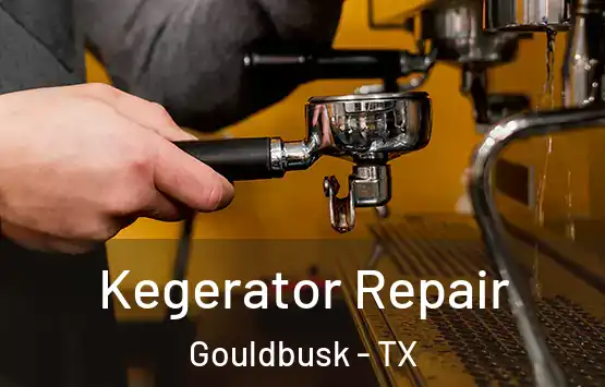  Kegerator Repair Gouldbusk - TX