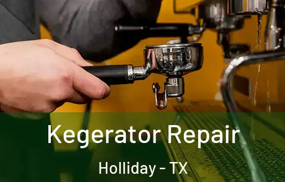  Kegerator Repair Holliday - TX