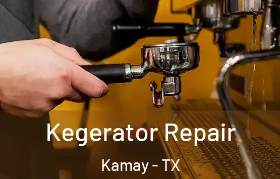  Kegerator Repair Kamay - TX