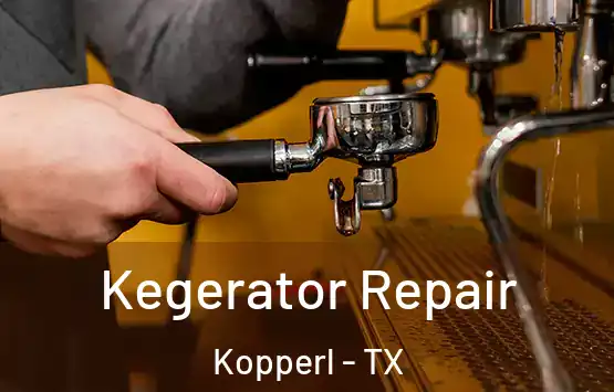  Kegerator Repair Kopperl - TX