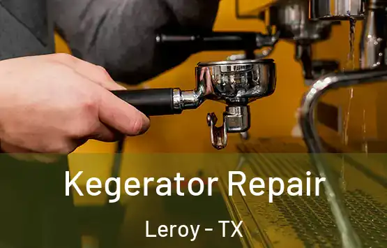  Kegerator Repair Leroy - TX