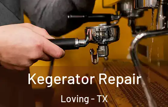  Kegerator Repair Loving - TX