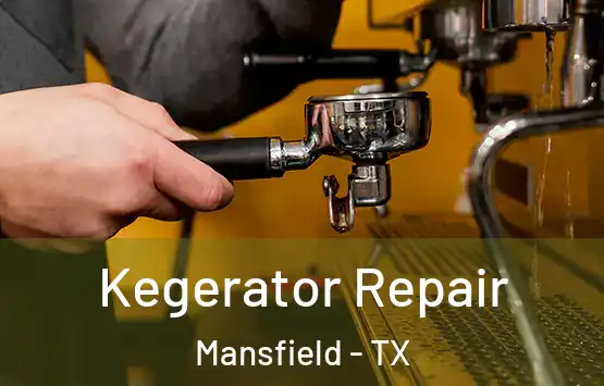  Kegerator Repair Mansfield - TX