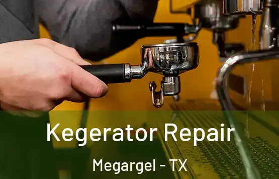 Kegerator Repair Megargel - TX