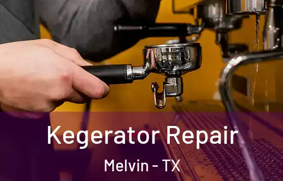  Kegerator Repair Melvin - TX