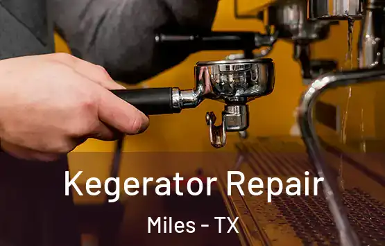  Kegerator Repair Miles - TX
