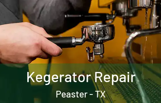  Kegerator Repair Peaster - TX