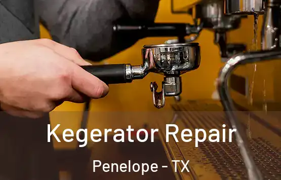  Kegerator Repair Penelope - TX