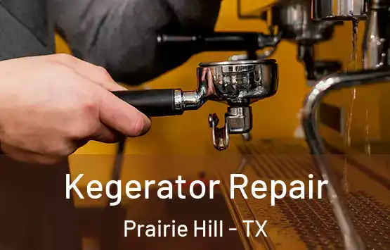  Kegerator Repair Prairie Hill - TX
