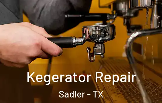  Kegerator Repair Sadler - TX