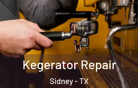  Kegerator Repair Sidney - TX