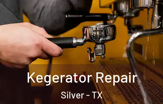  Kegerator Repair Silver - TX