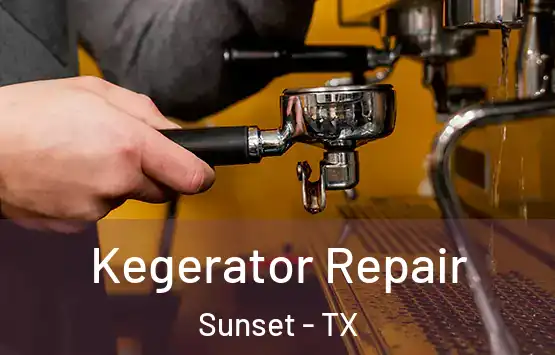  Kegerator Repair Sunset - TX