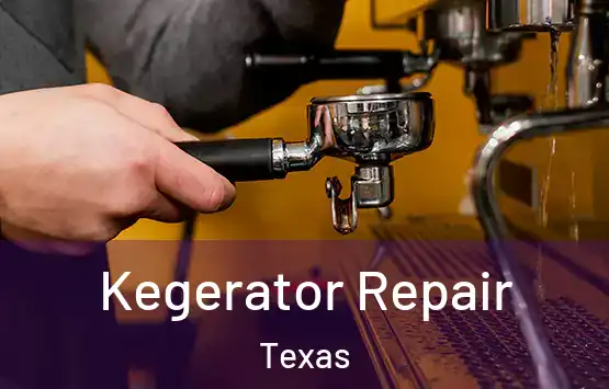  Kegerator Repair Texas