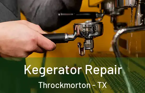  Kegerator Repair Throckmorton - TX