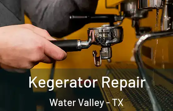  Kegerator Repair Water Valley - TX