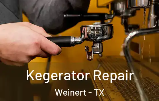  Kegerator Repair Weinert - TX