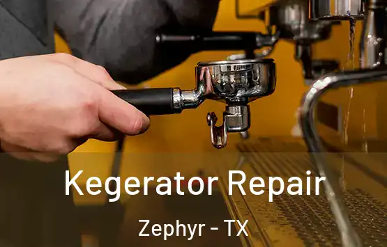  Kegerator Repair Zephyr - TX