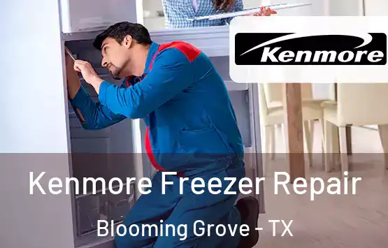  Kenmore Freezer Repair Blooming Grove - TX